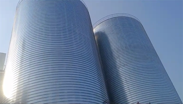 军垦路街道2座混凝土高架卷板仓